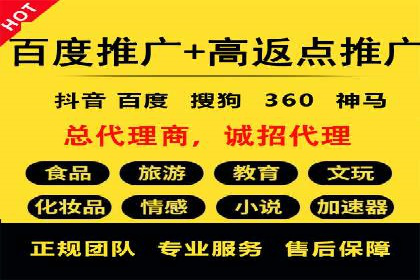 竞价排名在搜索引擎营销中的运用案例